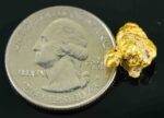 #31 Australian Natural Gold Nugget With Quartz Weighs 3.94 Grams. - Image 2