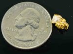 #33 Australian Natural Gold Nugget With Quartz Weighs 1.23 Grams. - Image 2