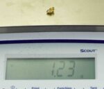 #33 Australian Natural Gold Nugget With Quartz Weighs 1.23 Grams. - Image 3