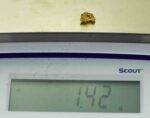 #34 Australian Natural Gold Nugget With Quartz Weighs 1.42 Grams. - Image 3