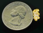 #36 Australian Natural Gold Nugget With Quartz Weighs .68 Grams. - Image 2