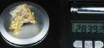 QN-3 "Alaskan BC Gold Nuggets with Quartz" Genuine 28.39 Grams - Image 5