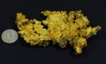 Large Natural Gold Nugget Australian 273.65 Grams 8.79 Troy Ounces"The Dragon" - Image 8