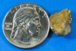 QN-76 "Alaskan BC Gold Nuggets with Quartz" Genuine 3.65 Grams - Image 2
