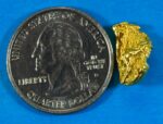 L-8 Alaskan BC Dendritic Exotic Shaped Gold Nugget "Special Collection" 3.20 Grams - Image 2