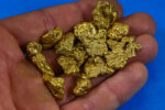 Alaskan BC Natural Gold Nugget 3 Troy Oz. Lot of 5-10 gram Nuggets Genuine B&C - Image 3