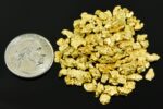 Alaskan Yukon BC Gold Rush Nuggets #6 Mesh 1 Troy Ounce 31.1 Gram 20 DWT - Image 4