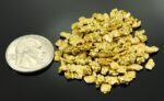 Alaskan Yukon BC Gold Rush Nuggets #6 Mesh 1 Troy Ounce 31.1 Gram 20 DWT - Image 2
