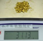 Alaskan Yukon BC Gold Rush Nuggets #6 Mesh 1 Troy Ounce 31.1 Gram 20 DWT - Image 6