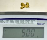 Alaskan-Yukon BC Natural Gold Nugget #4 Mesh 5 Grams - Image 6