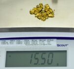 Alaskan-Yukon BC Natural Gold Nugget #4 Mesh 1/2 Troy Ounce 15.55 Gram 10 DWT - Image 6