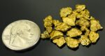Alaskan-Yukon BC Natural Gold Nugget #4 Mesh 1/2 Troy Ounce 15.55 Gram 10 DWT - Image 2