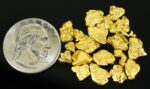 Alaskan-Yukon BC Natural Gold Nugget #4 Mesh 1/2 Troy Ounce 15.55 Gram 10 DWT - Image 4