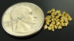 Alaskan Yukon Gold Rush Nuggets 12 Mesh 1 Gram of Fines - Image 2