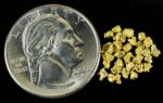 Alaskan Yukon Gold Rush Nuggets 12 Mesh 1 Gram of Fines - Image 4