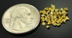 Alaskan Yukon Gold Rush Nuggets 12 Mesh .05 Troy Oz. 1.55 Grams or 1 DWT - Image 2