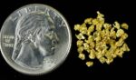 Alaskan Yukon Gold Rush Nuggets 12 Mesh .05 Troy Oz. 1.55 Grams or 1 DWT - Image 4