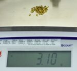 Alaskan Yukon Gold Rush Nuggets 12 Mesh 3.1 Grams - Image 5