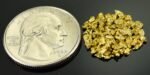 Alaskan Yukon Gold Rush Nuggets 12 Mesh 3.1 Grams - Image 2