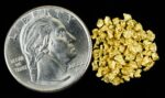 Alaskan Yukon Gold Rush Nuggets 12 Mesh 3.1 Grams - Image 4