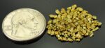 Alaskan Yukon Gold Rush Nuggets 12 Mesh 5 Grams - Image 2