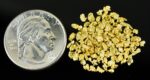 Alaskan Yukon Gold Rush Nuggets 12 Mesh 5 Grams - Image 4