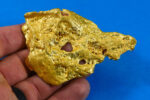 Large Natural Gold Nugget Australian "Bird Skull” 171.03 Grams 5.49 Troy Ounces Very Rare - Image 5