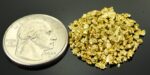 Alaskan Yukon BC Gold Nuggets 12 Mesh 1/4 Troy Oz 7.75 Grams or 5 DWT - Image 2