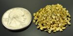 Alaskan Yukon Gold Rush Nuggets 12 Mesh 10 GRAMS OF CLEAN GOLD FLAKES - Image 2
