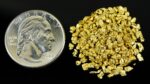 Alaskan Yukon Gold Rush Nuggets 12 Mesh 10 GRAMS OF CLEAN GOLD FLAKES - Image 4