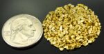 Alaskan Yukon Gold Rush Nuggets 12 Mesh 1/2 Troy Oz 15.5 Grams or 10 DWT - Image 2