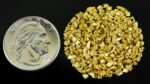 Alaskan Yukon Gold Rush Nuggets 12 Mesh 1/2 Troy Oz 15.5 Grams or 10 DWT - Image 4