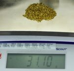 Alaskan Yukon Gold Rush Nuggets 12 Mesh 1 Troy Ounce 31.1 Gram 20 DWT - Image 5