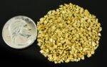 Alaskan Yukon Gold Rush Nuggets 12 Mesh 1 Troy Ounce 31.1 Gram 20 DWT - Image 4