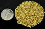 Alaskan Yukon Gold Rush Nuggets 12 Mesh 2 Troy Ounce 62.2 Gram 40 DWT - Image 4