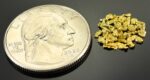Alaskan Yukon Gold Rush Nuggets 14 Mesh .025 Troy Oz .78 Grams or 1/2 DWT - Image 2