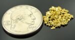 Alaskan Yukon Gold Rush Nuggets 14 Mesh .05 Troy Oz. 1.55 Grams or 1 DWT - Image 2