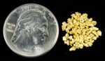 Alaskan Yukon Gold Rush Nuggets 14 Mesh .05 Troy Oz. 1.55 Grams or 1 DWT - Image 4