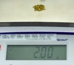 Alaskan Yukon Gold Rush Nuggets 14 Mesh 2 Grams of Fines - Image 6
