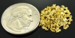 Alaskan Yukon Gold Rush Nuggets 14 Mesh 1/10 Troy Oz 3.1 Grams or 2 DWT - Image 2