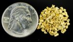 Alaskan Yukon Gold Rush Nuggets 14 Mesh 1/10 Troy Oz 3.1 Grams or 2 DWT - Image 4