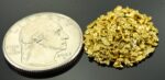 Alaskan Yukon Gold Rush Nuggets 14 Mesh 5 Gram of Fines - Image 2