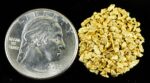Alaskan Yukon Gold Rush Nuggets 14 Mesh 5 Gram of Fines - Image 4