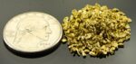 Alaskan Yukon Gold Rush Nuggets 14 Mesh 10 GRAMS OF CLEAN GOLD FLAKES - Image 2