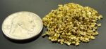 Alaskan Yukon Gold Rush Nuggets 14 Mesh 1/2 Troy Oz 15.5 Grams or 10 DWT - Image 2