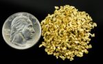 Alaskan Yukon Gold Rush Nuggets 14 Mesh 1/2 Troy Oz 15.5 Grams or 10 DWT - Image 5