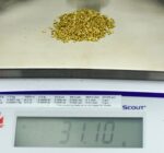 Alaskan Yukon Gold Rush Nuggets 14 Mesh 1 Troy Ounce 31.1 Gram 20 DWT - Image 6