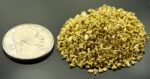 Alaskan Yukon Gold Rush Nuggets 14 Mesh 1 Troy Ounce 31.1 Gram 20 DWT - Image 2
