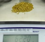Alaskan Yukon BC Gold Nuggets 14 Mesh 2 Troy Ounce 62.2 Gram 40 DWT - Image 6